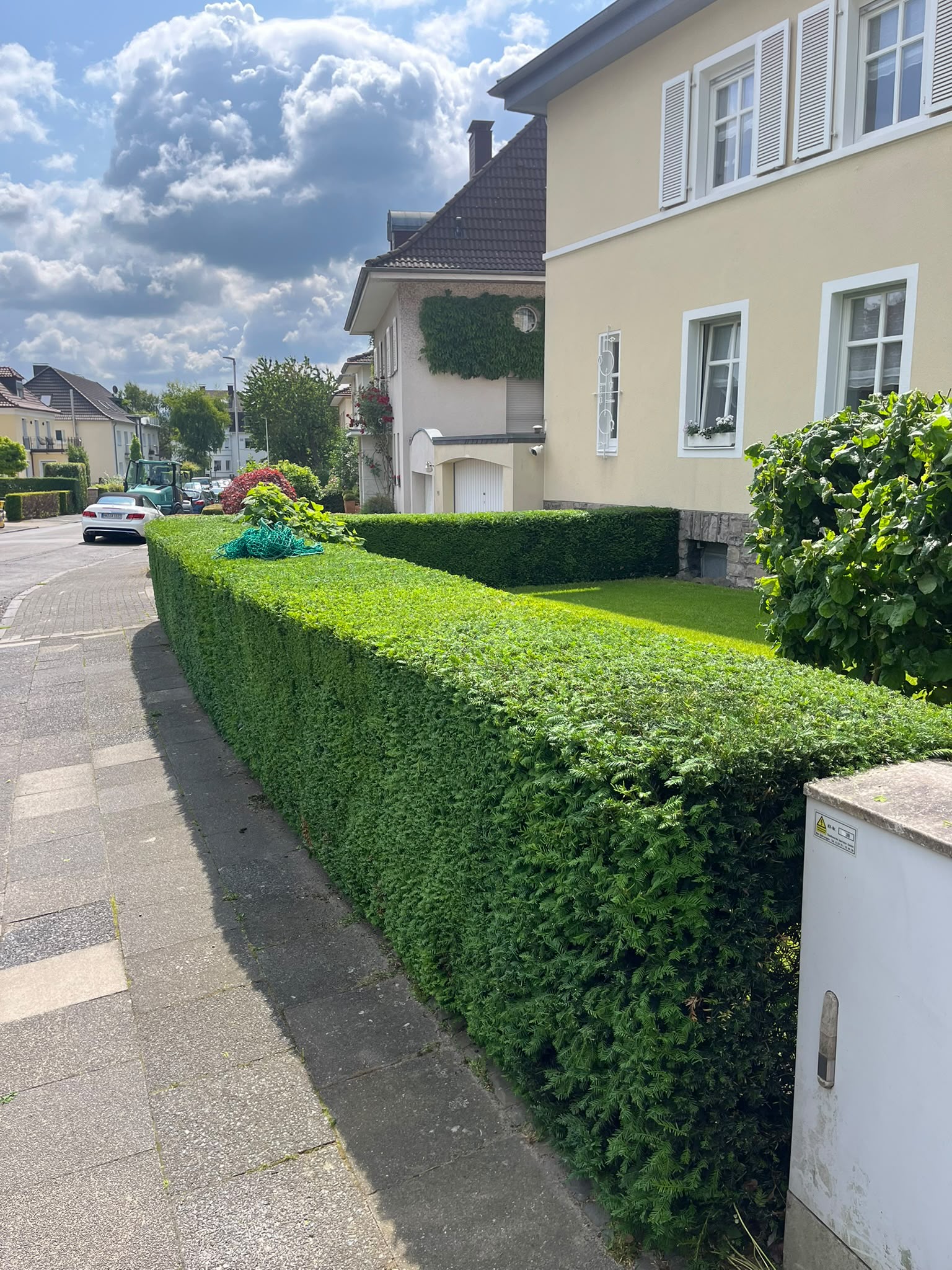 Gehölzschnitt und Heckenpflege