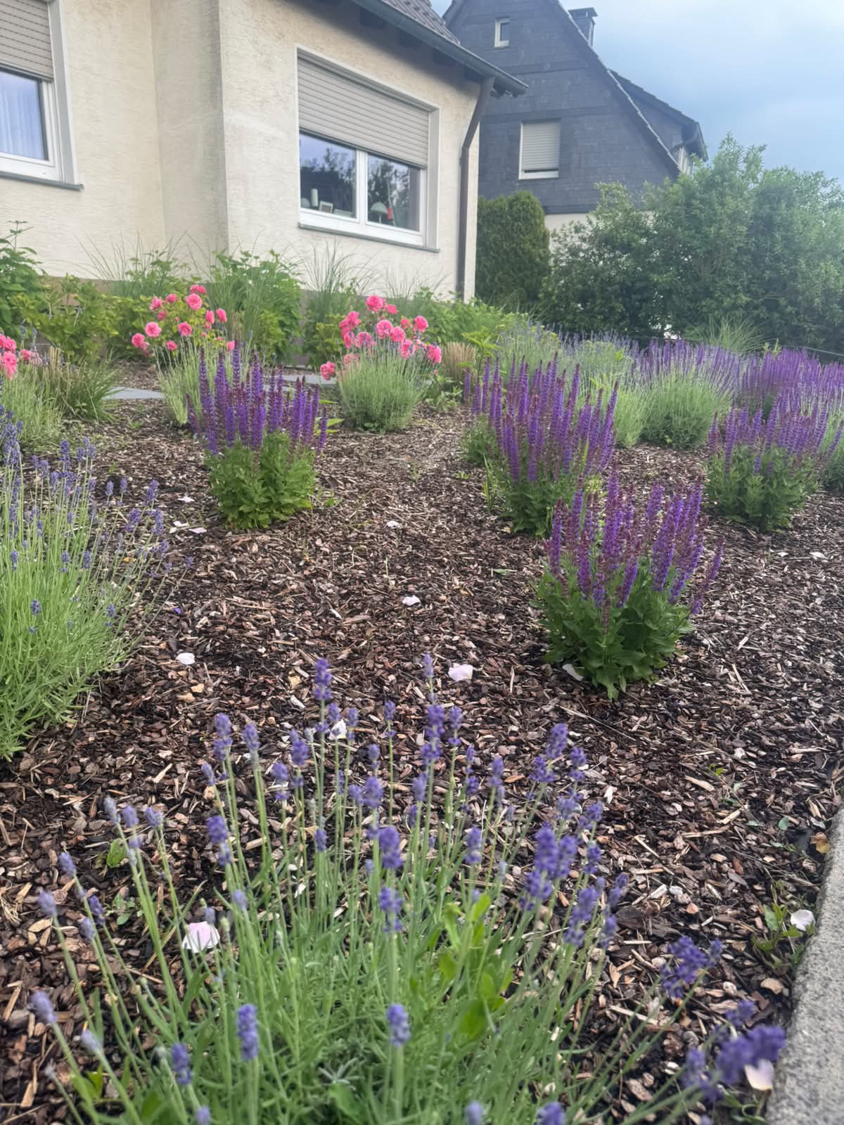 Staudenbeet von Gartendesign LuWu in Menden