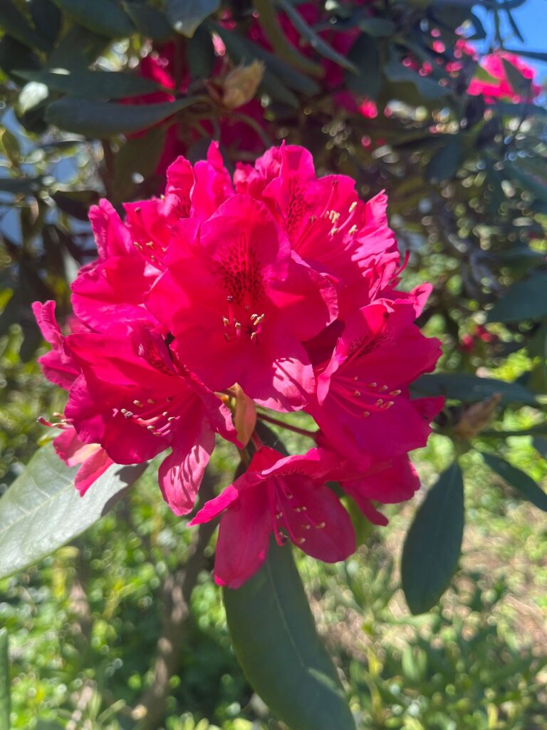 33cc57b1 8a9f 4b4f 8c27 57acea90feed