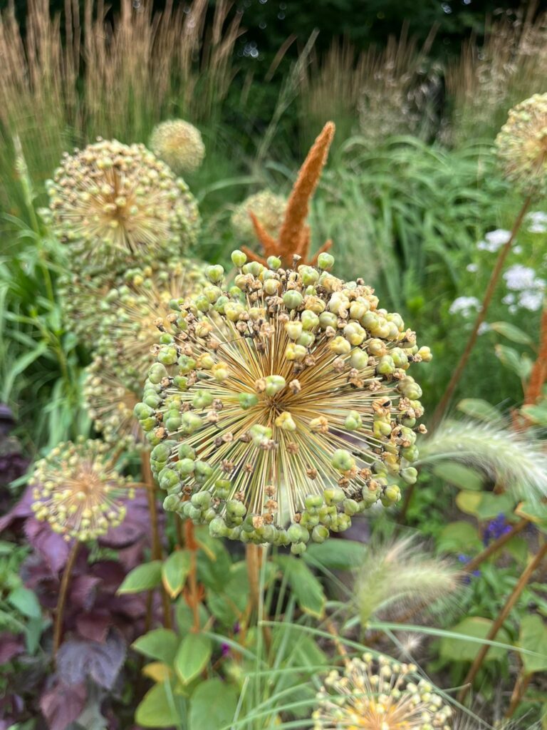 43f2837d 11f5 4d92 Be0f 2dddc34e8333