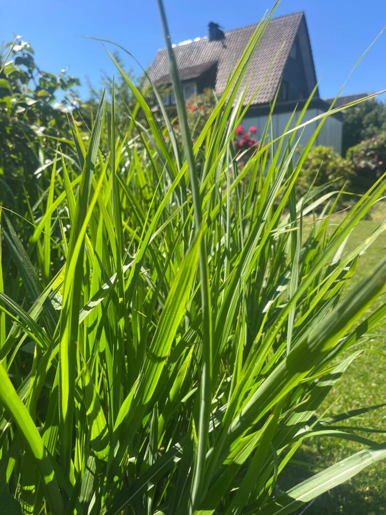 48baa4fd 4a25 41d5 Bd15 A7f6847917b8