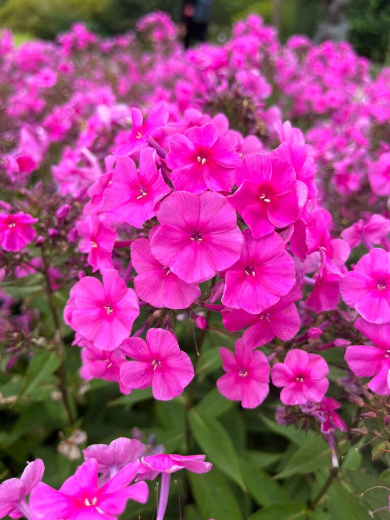 5377aa9b Cdb5 4c6a A11d 22a5b94255cf