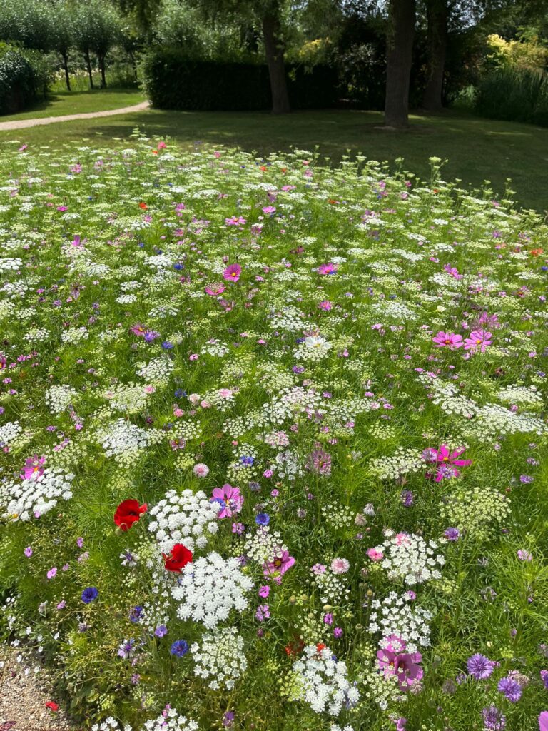 5fba273b Ee00 4a11 B8cb A63e0a6c7f03