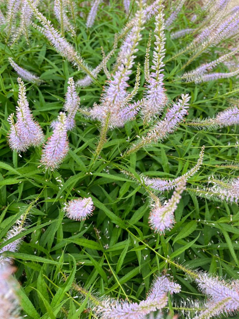 6f17835a 3269 4f24 B243 F99324463122