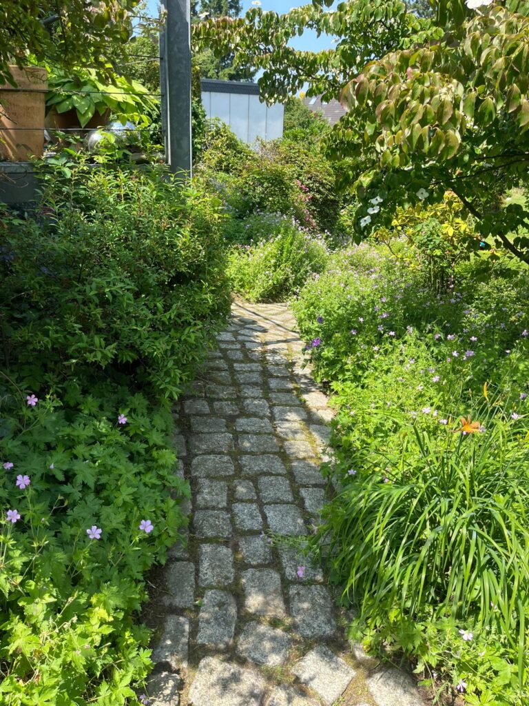 70ec9b2e A521 41ba 8bca C99c5fd1116f