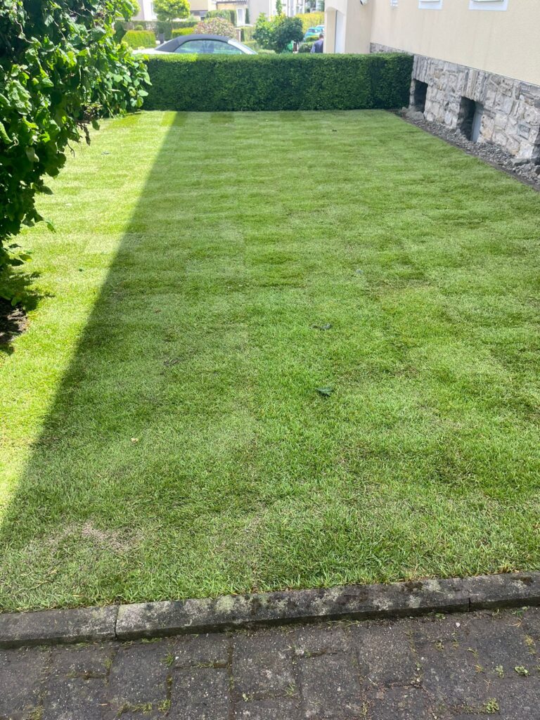 8070a54b Ec3d 4edf Aa91 95aca8ed8d54