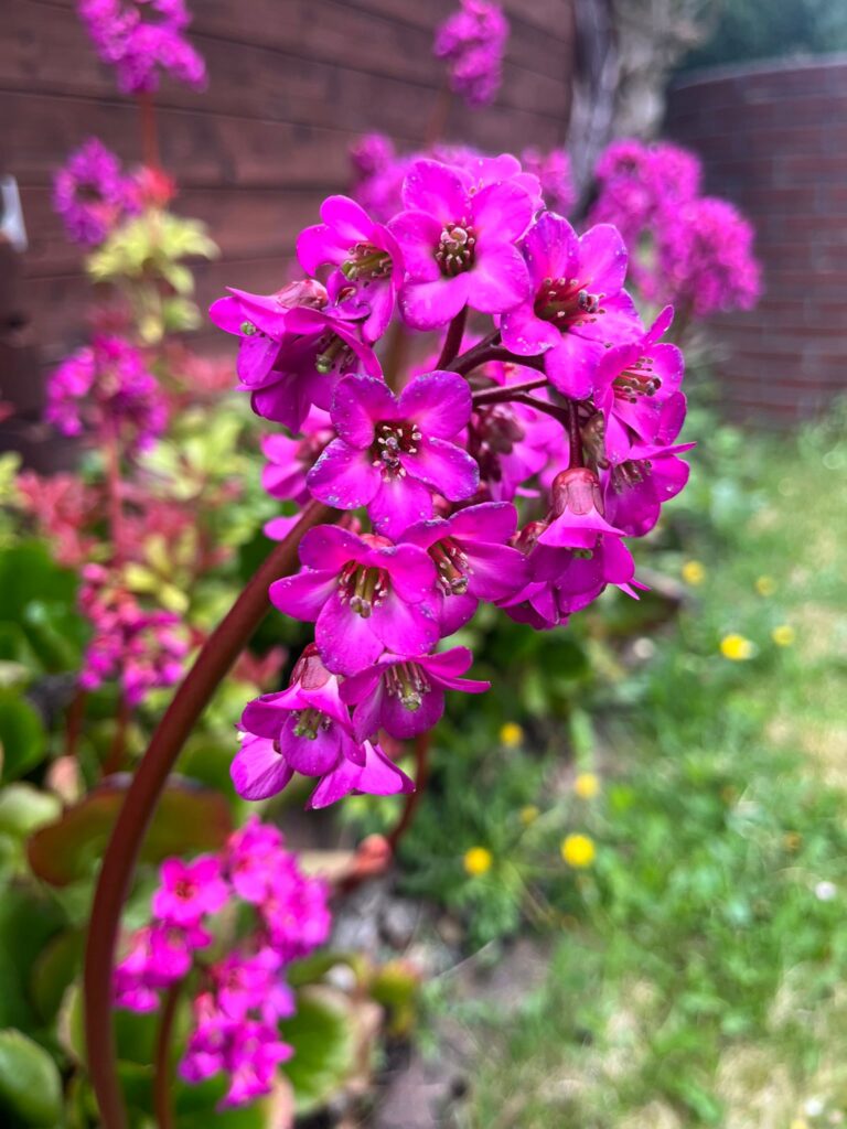 97a21f4c A5a7 4cef 92c9 Fa14097adef5