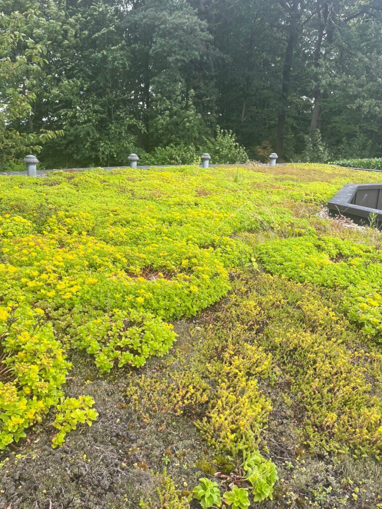 A149e019 8a47 4543 Aeaa 32ba16ab57b7