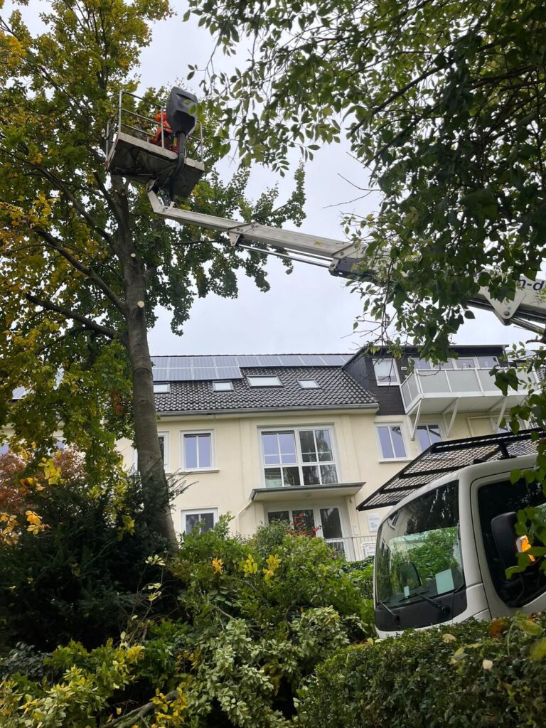 Adc8a206 8368 4b67 B362 7c0a1a76acf9