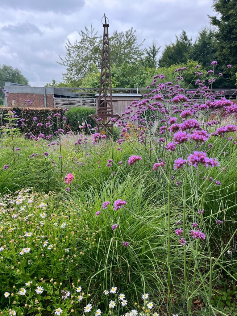 Aeae7e68 8729 4f64 A8db 7307f02ca7b6