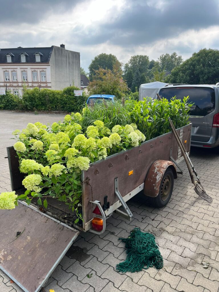 Babcd7e5 A2f1 493d 953c A626a85aacd7