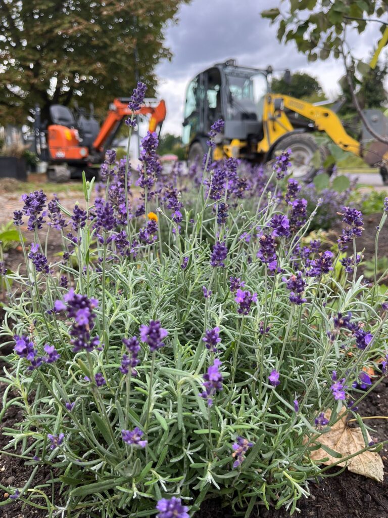 6c7fdb35 6ad2 4ca5 A0a3 F984a63fe0be