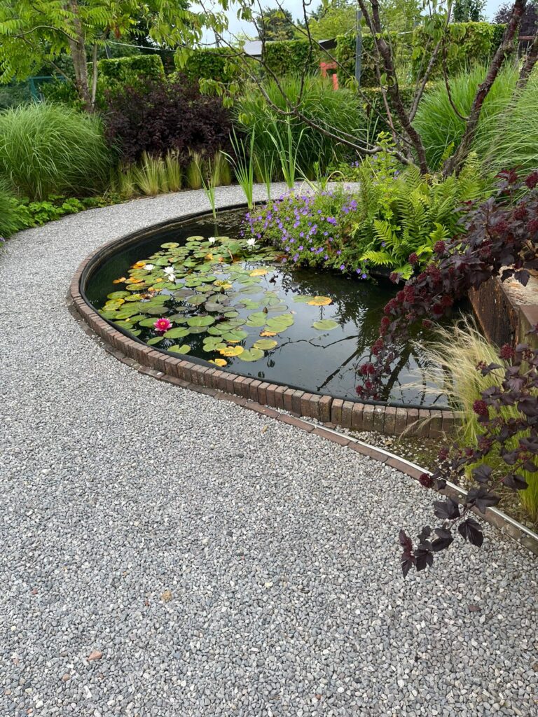 D5c8ecc6 0d46 4346 B478 064864dc5f72